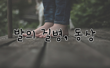 한겨울, 내 발은 이미 동상